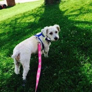 Meet your Posher, Dee